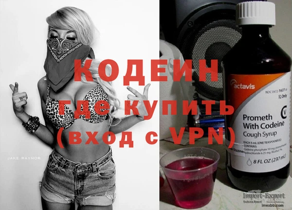 эйфоретик Няндома