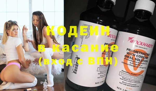 эйфоретик Няндома