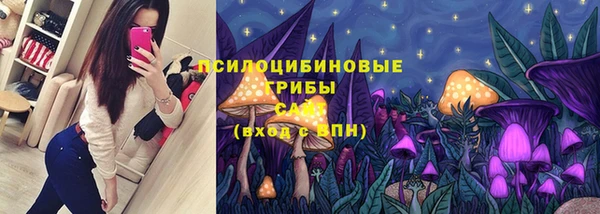 винт Абинск